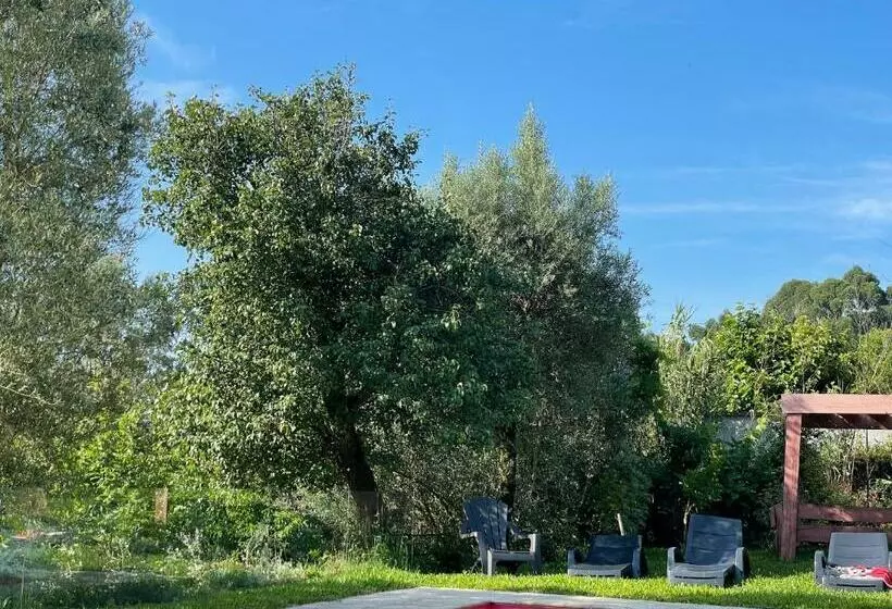 تختخواب و صبحانه Altavista