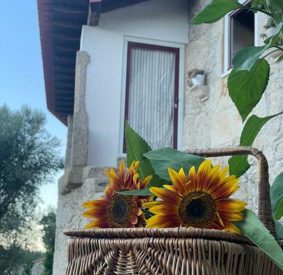 مبيت وإفطار Altavista