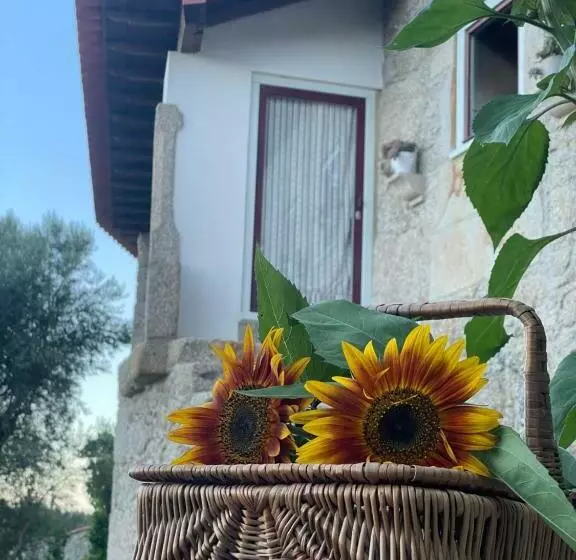 تختخواب و صبحانه Altavista