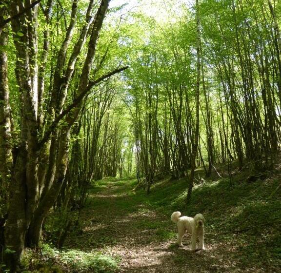 ベッドアンドブレックファースト Chambres D Hotes à La Chandelle