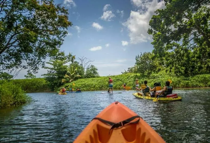 تختخواب و صبحانه Dos Aguas