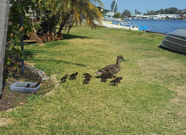 مبيت وإفطار Lakeside Bungalow