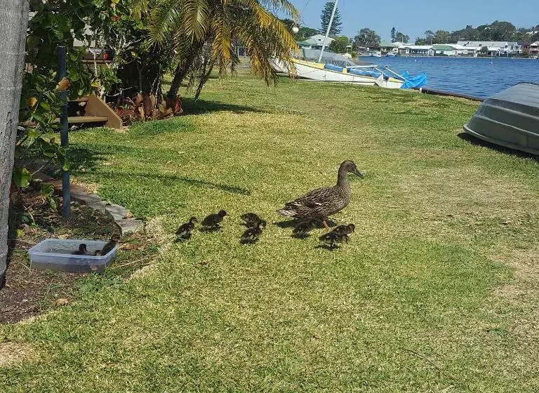 ベッドアンドブレックファースト Lakeside Bungalow