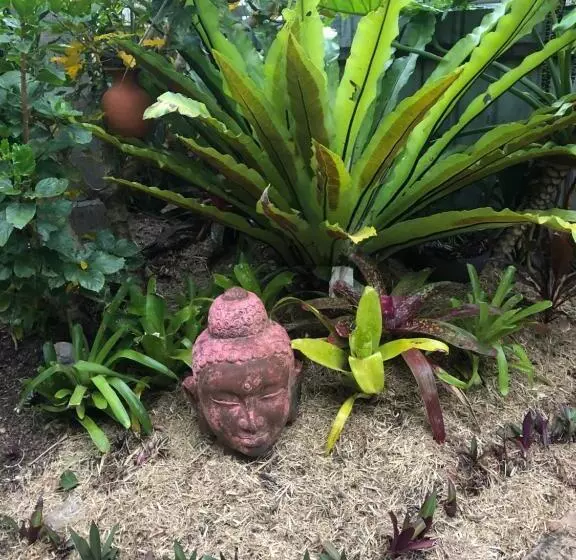 ベッドアンドブレックファースト Lakeside Bungalow