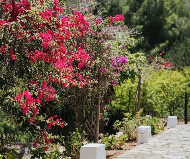 تختخواب و صبحانه Guesthouse Paissa D En Bernat