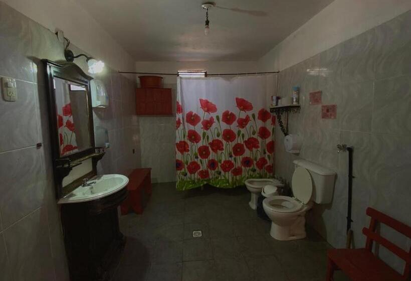 Gran Casa Hostel&camping