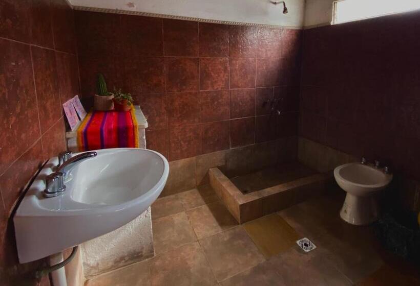 Gran Casa Hostel&camping