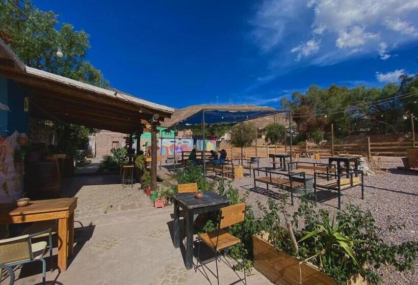 Gran Casa Hostel&camping