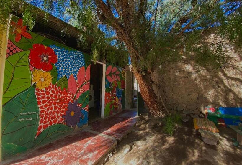 Gran Casa Hostel&camping