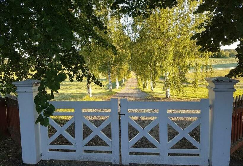 Hofra Bed & Breakfast