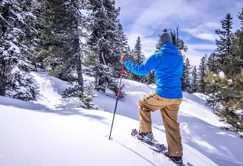 ホテル De L Europe Gastein