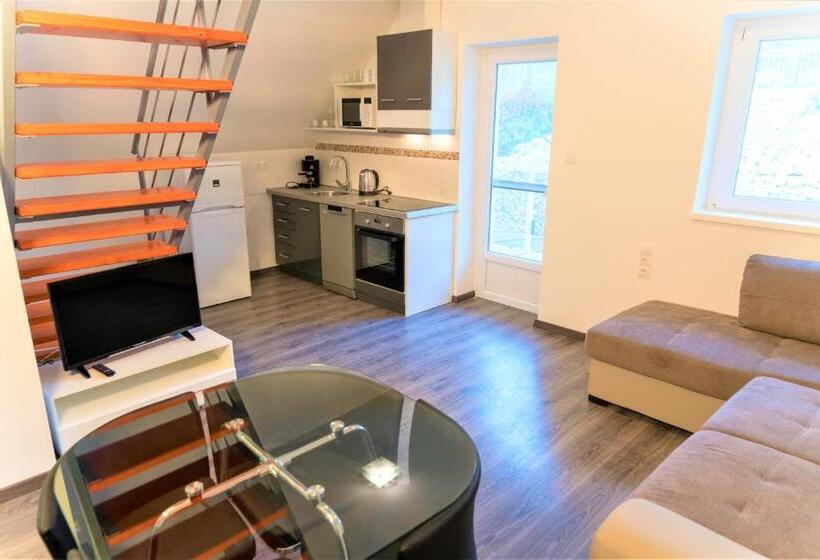 بنسيون Brillwellness