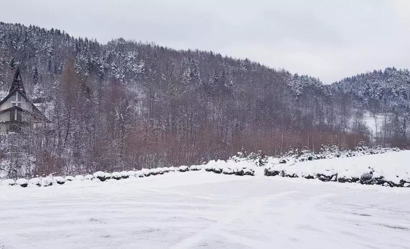 ペンション Daglezja