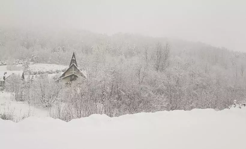 ペンション Daglezja