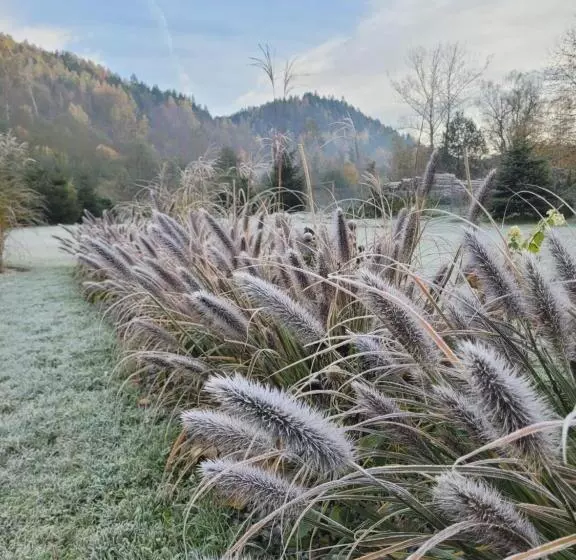 ペンション Daglezja