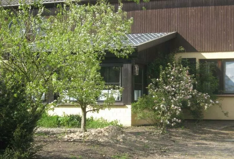 ペンション Die Bunte Kuh In Federow