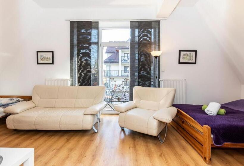 استراحتگاه Brzoza W Centrum Zakopanego