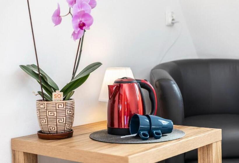 استراحتگاه Brzoza W Centrum Zakopanego