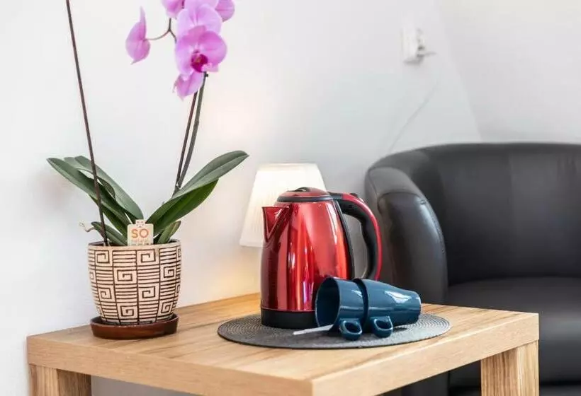 استراحتگاه Brzoza W Centrum Zakopanego