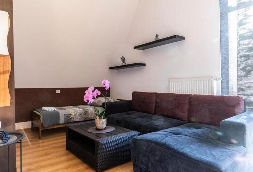 استراحتگاه Brzoza W Centrum Zakopanego