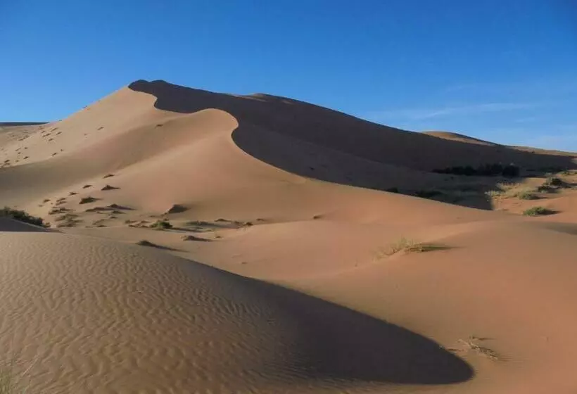 تختخواب و صبحانه Riad Oasis