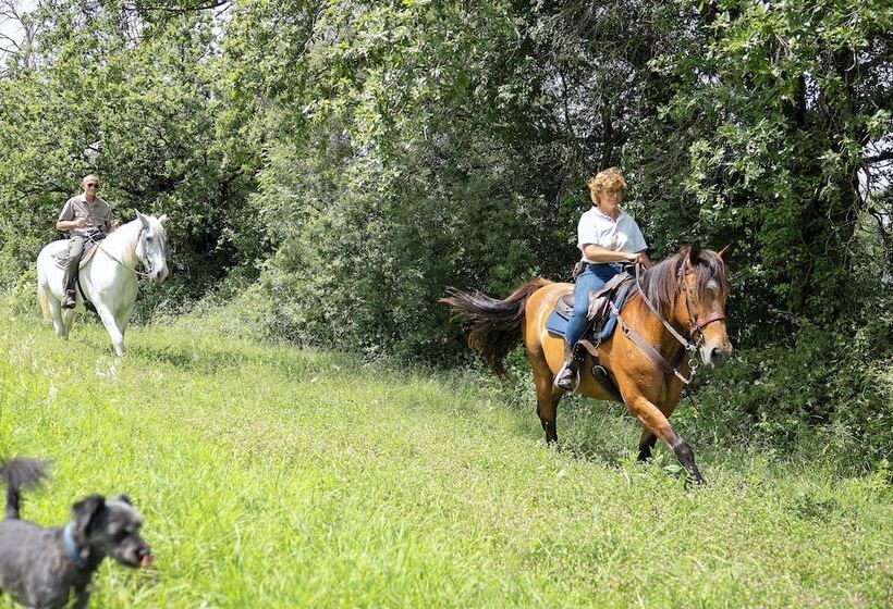 هتل Tenuta Di Corbara