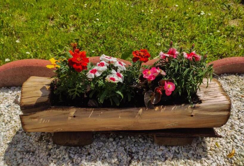 پانسیون Casa Didea