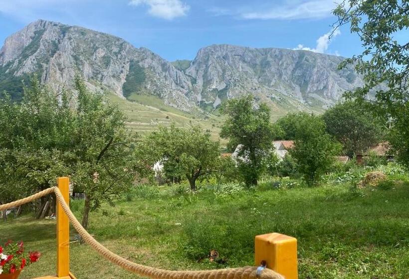 بنسيون Casa Kelemen Irén