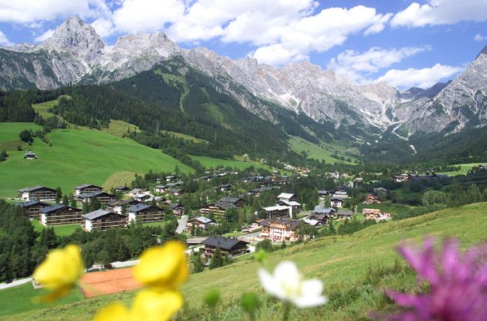 بنسيون Chalet Sonne