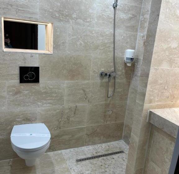 Pension Domeniul Regilor