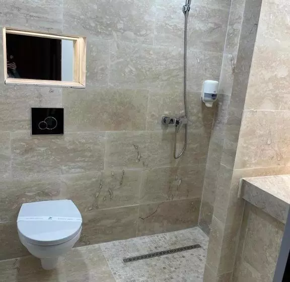 Pension Domeniul Regilor