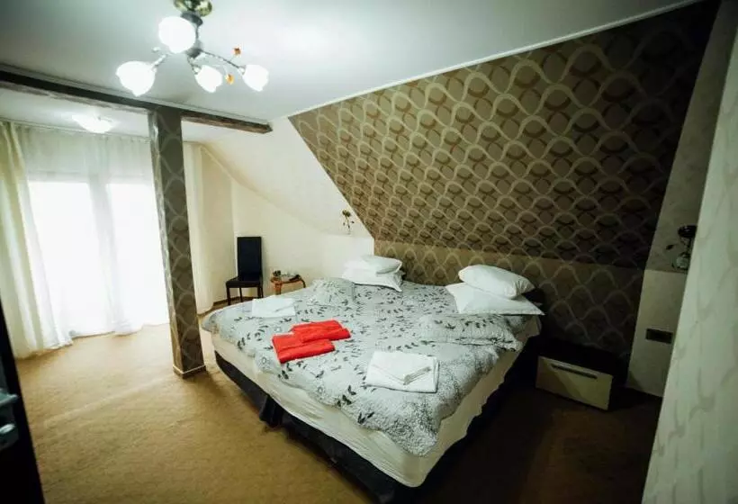 Pension Domeniul Regilor