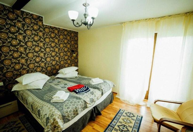 Pension Domeniul Regilor