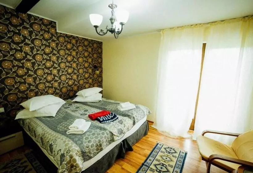 Pension Domeniul Regilor