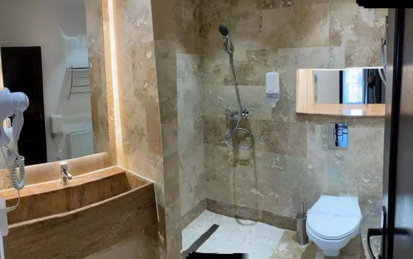 Pension Domeniul Regilor