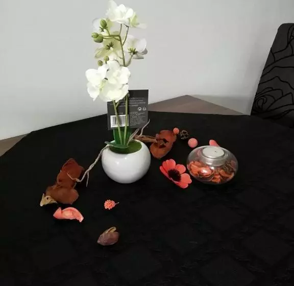 Apartmani Nana Sokobanja