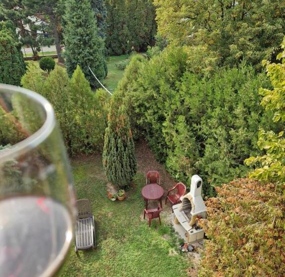 تختخواب و صبحانه Balaton Panzió Füred