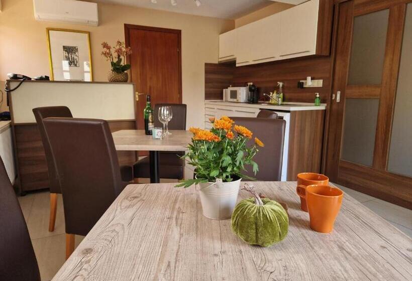 تختخواب و صبحانه Balaton Panzió Füred