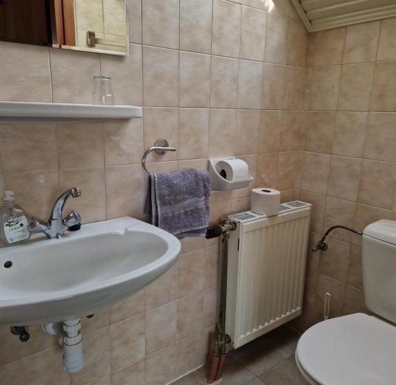 تختخواب و صبحانه Balaton Panzió Füred