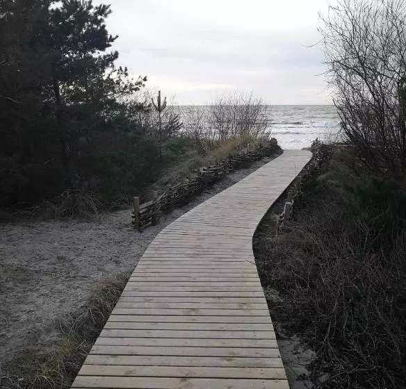 Dobilas Ir Jura