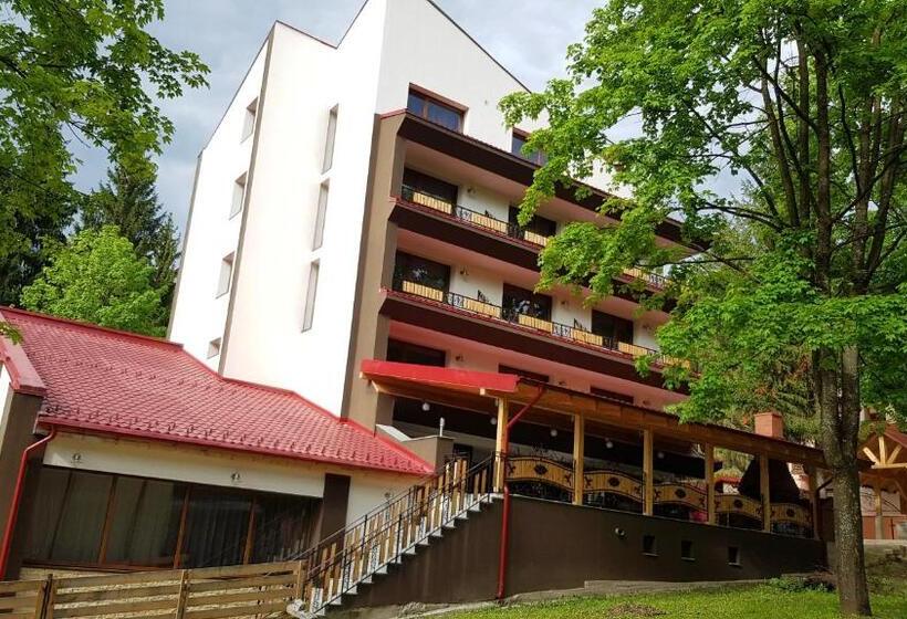 هتل Pensiunea Admiraz