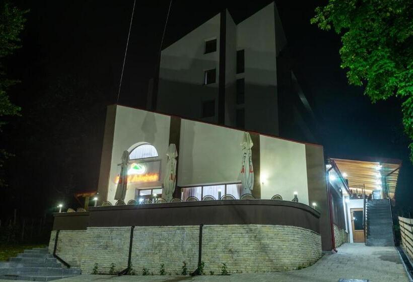 هتل Pensiunea Admiraz