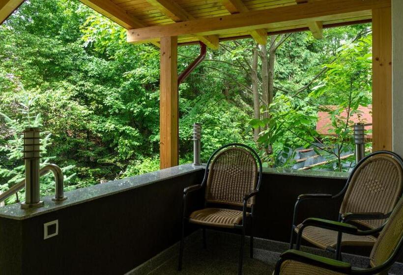 هتل Pensiunea Admiraz