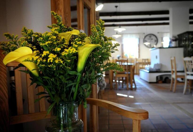 פנסיון Starý Svět