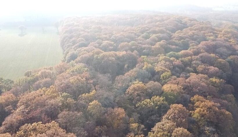 호텔 24h Le Mans Château De Lauresse Chambres D Hôtes Luxe