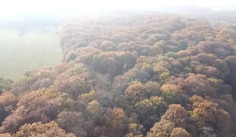 هتل 24h Le Mans Château De Lauresse Chambres D Hôtes Luxe