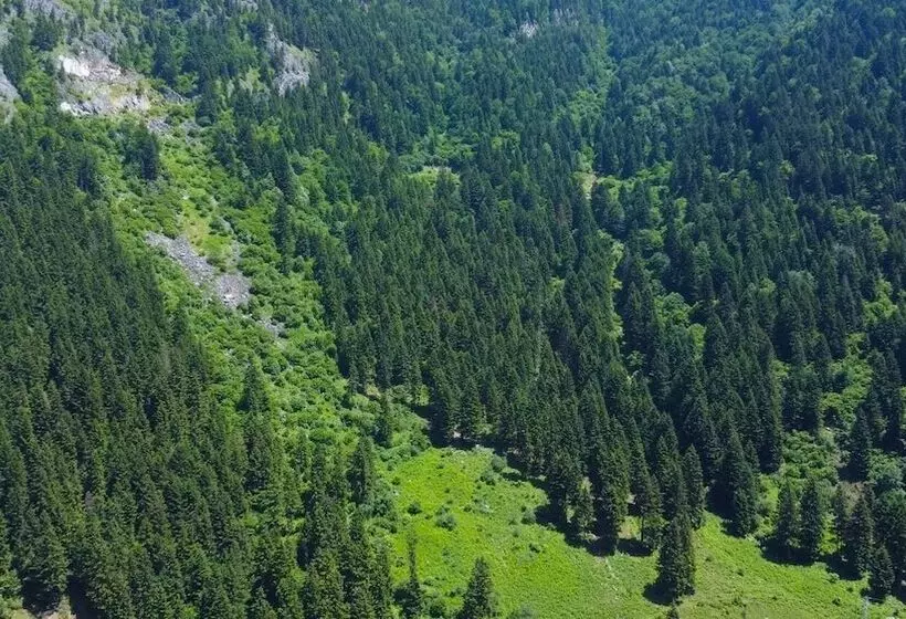 هتل Pazarcik Mountain