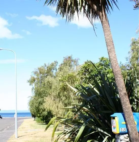 Hotelli Tongariro Adventures