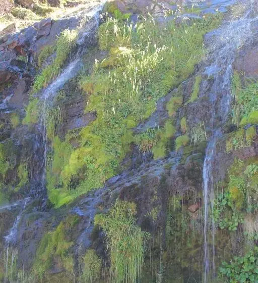 Hotelli Tongariro Adventures