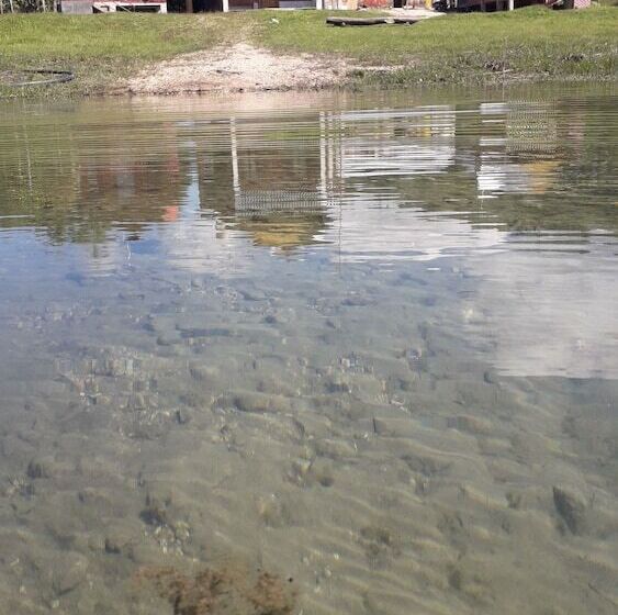 ホテル Cabanas Islas De Tziscao